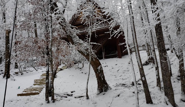 Unforgettable dreams at Beech Mountain Cabin