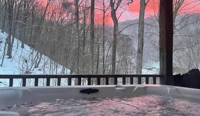 Unforgettable Hot Springs Retreat Near Max Patch