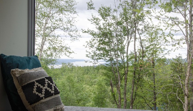 Unic loft - Sapa - Massif and Mont-Ste-Anne