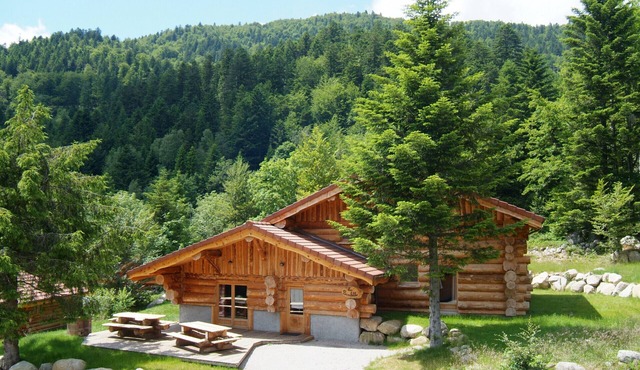 Unique à La Bresse chalet rondins de 220 m², groupe, famille, wifi, proche pistes