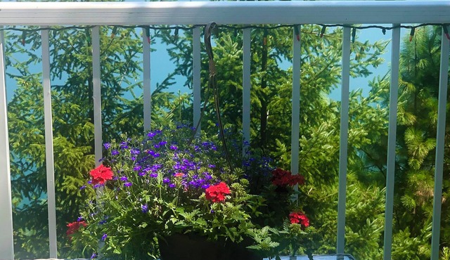 Unique 3 bedroom house in Beaverton with Wi Fi access and Lock box to enter