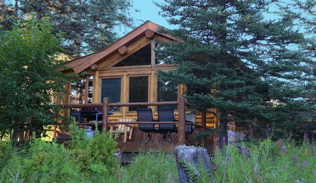 Unique Alaskan log home in trees & wild flowers on 14-acre private homestead.