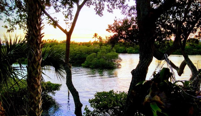 Unique and Charming-Waterfront Studio Cottage - Queen bed & Dock