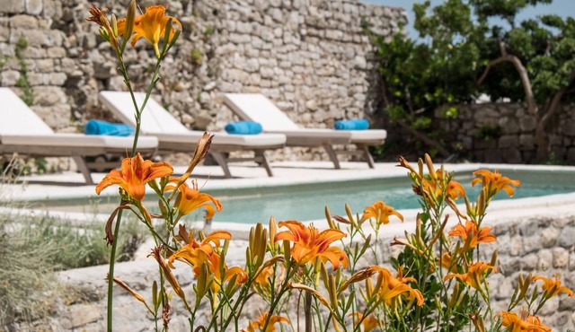 Unique Antistress Oasis Villa Antiqua