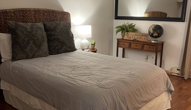 Unique apartment in historic downtown