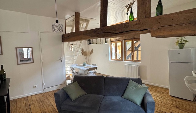 Unique apartment in the historic heart of Troyes - Ruelle des chats/rue Champeaux