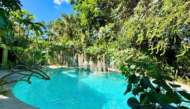 Unique Art & Nature Hideaway Walk to Wilton Drive