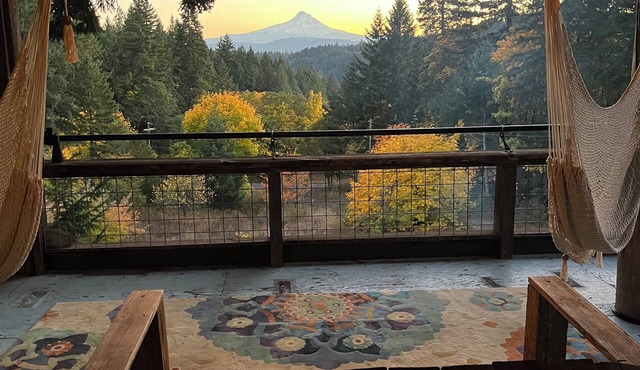 Unique Artisan Bird's Nest, Big Timbers and Easy Views on the Columbia Gorge