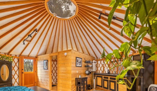 Unique authentic yurt stay near Yosemite National Park