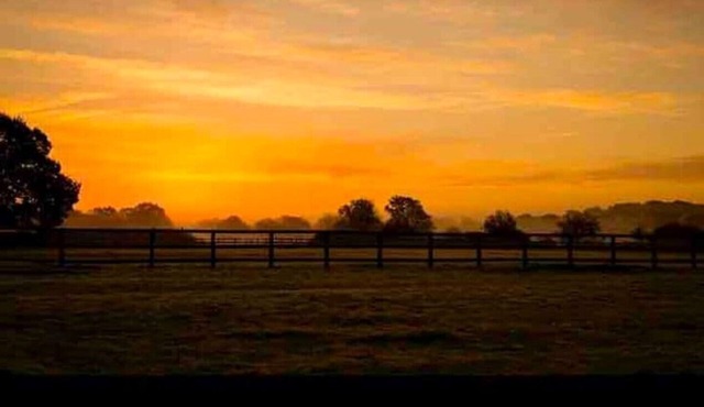 Unique Bell Tent Village, sleeps up to 16, fire pit, gin bar