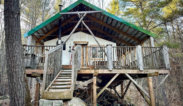 Unique cabin perched high with white pine trees