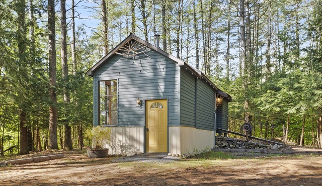Unique Cabin - 9 miles to Lake George Village