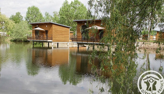 Unique cabin by a pond, pets allowed, private terrace