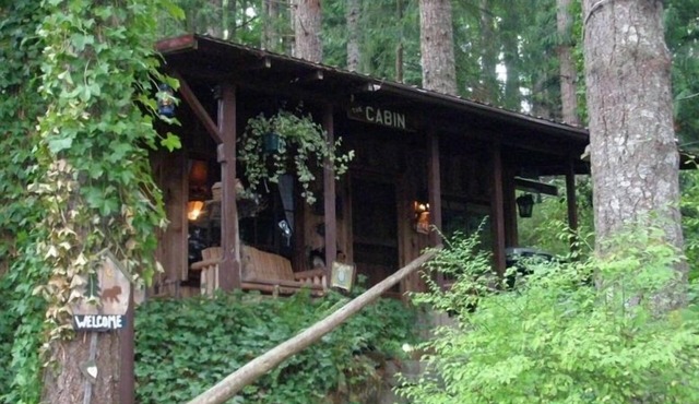 Unique Cabin in the Woods Near Mount St. Helens