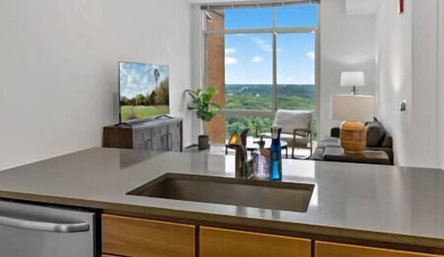 Unique Collection | Luxury | Tysons | Rooftop Pool