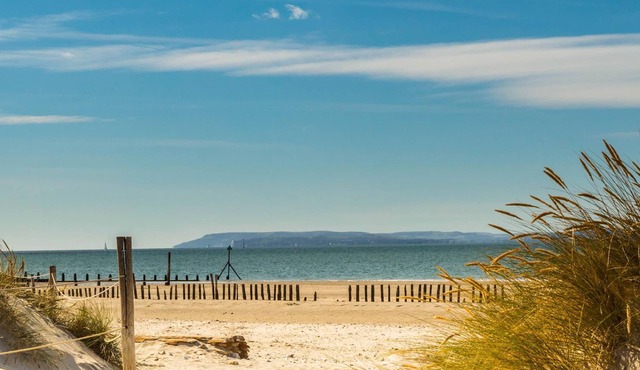 Unique Comfy Remodelled Railway Carriage