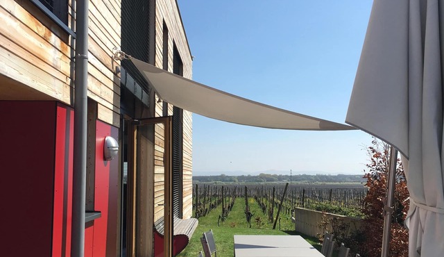 UNIQUE EXPERIENCE, Eco-House And High standing - 12 P, 5 bathroom - Wine road