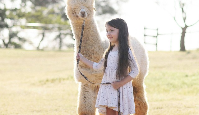 Unique Experience on a Working Alpacas Ranch.