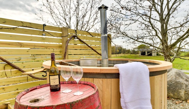 Unique Finger Lakes Converted Horse Barn w/Patio!