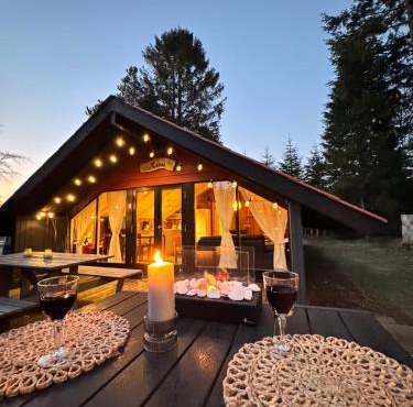 Unique forest cabin by lake near Legoland, ForestCabinDK