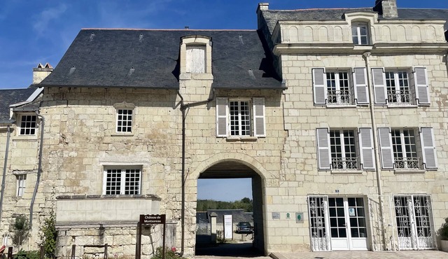 Unique house in Montsoreau between Saumur and Chinon
