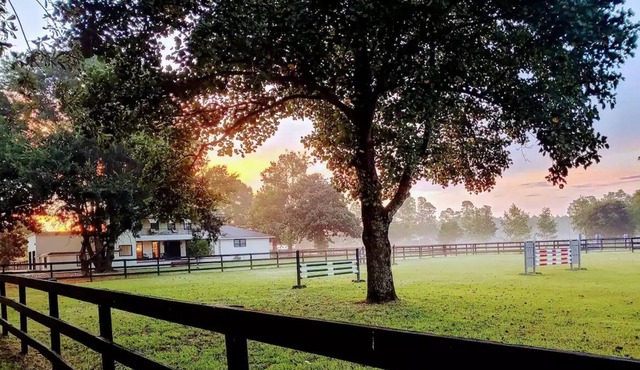Unique in-law suite on Horse Farm