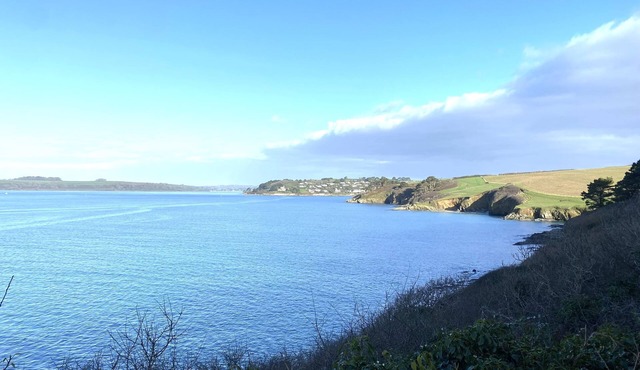 Unique Jacobean Farmhouse, pet friendly in St Mawesn