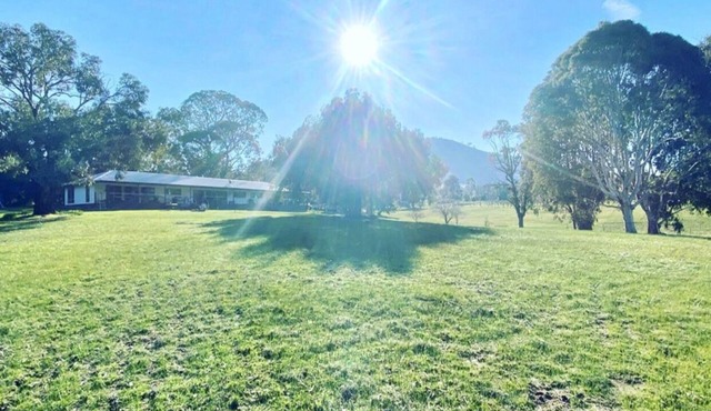 Unique Lake eildon frontage retreat, house/3units Mansfield+ 45min from MtBuller