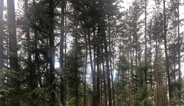 Unique Montana Adventure