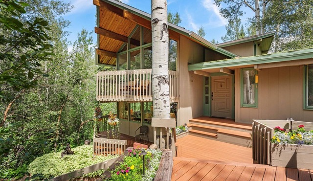 Unique Mountain Home! Spacious Deck & Hot Tub, Wood Stoves, Balconies with Tranquil Forest Views