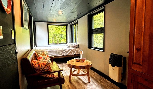 Unique off grid 1-bedroom cabin near Bancroft