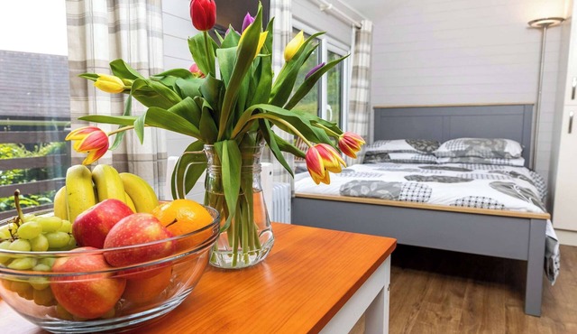 Unique, peaceful, cosy and quaint cedar wood built holiday lodge.