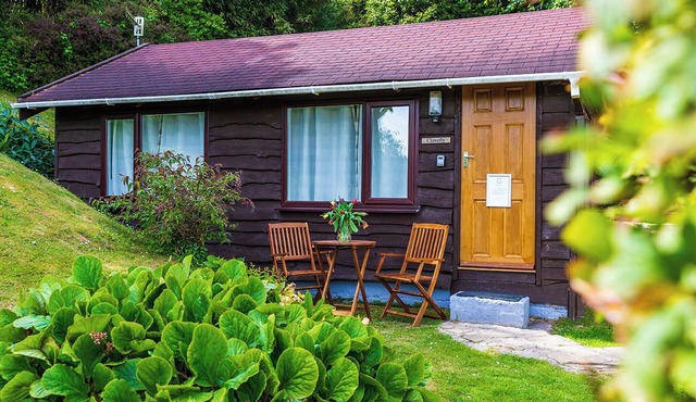 Unique, peaceful, cosy and quaint cedar wood built holiday lodge.