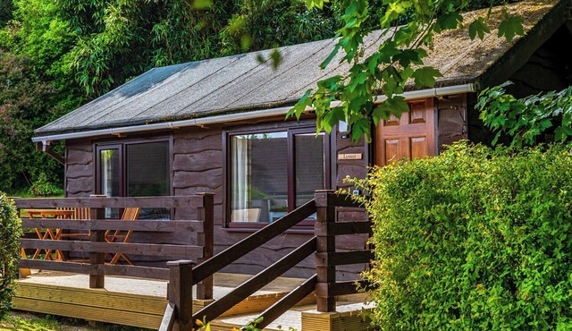 Unique, peaceful, cosy and quaint cedar wood built holiday lodge.