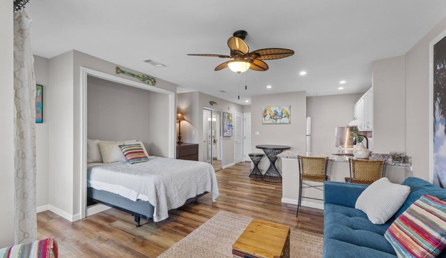 Unique, Pet-Friendly Studio | Newly Redecorated