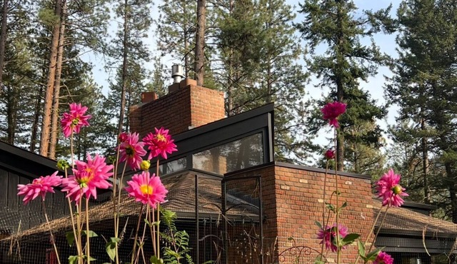 Unique Private Forest Retreat ~ 15 minutes from Downtown.