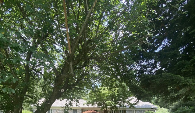 Unique Private Oasis