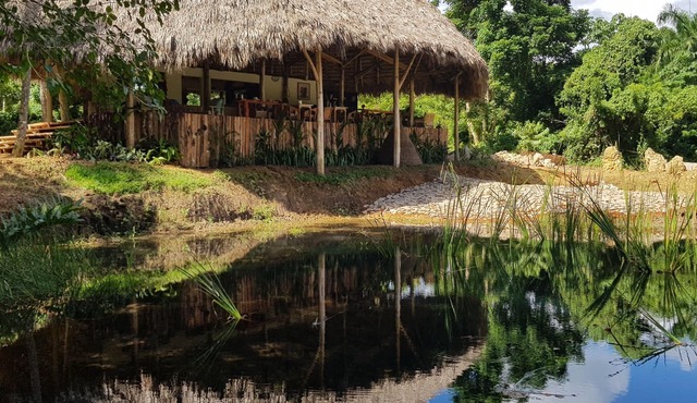 Unique property in a lush jungle with river and steps away from the beach.