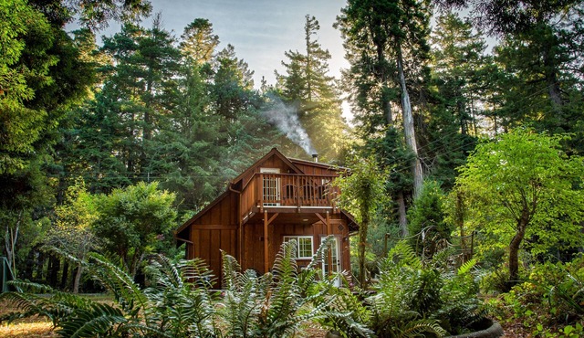 Unique retreat surrounded by redwoods - outdoor tub & wood stove, dog-friendly