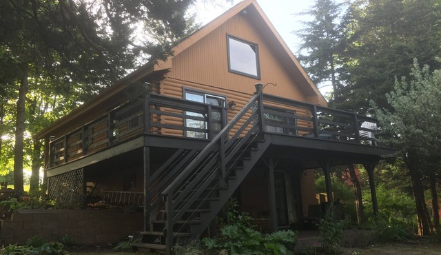 Unique Rustic, upscale, 3 br/2 ba Cabin w/Fireplace, Firepit, Pool Table & Wifi