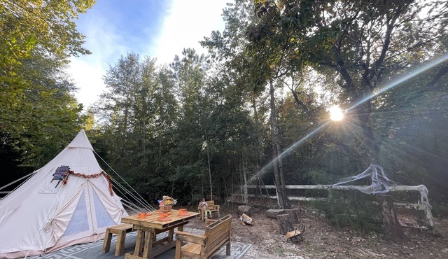 Unique SandyLand FARMSTAYS GLAMPING TeePee w/mini horses/cows/goats/chickens