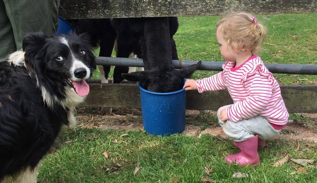 Unique self-contained farm stay in the picturesque Southern Highlands