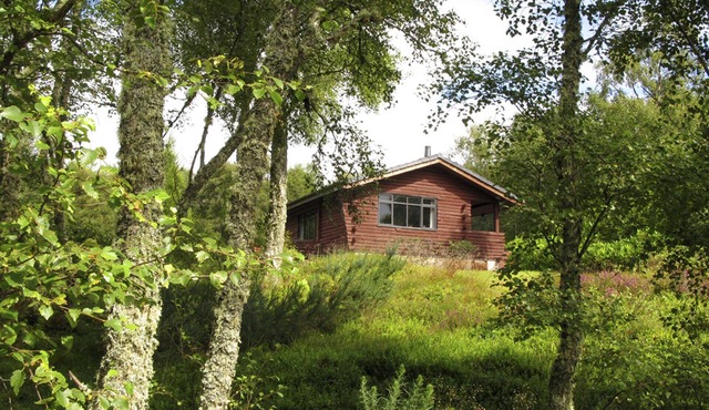 Unique, Solo Log Cabin In Private Woodland With Views To Sea And Local Hills