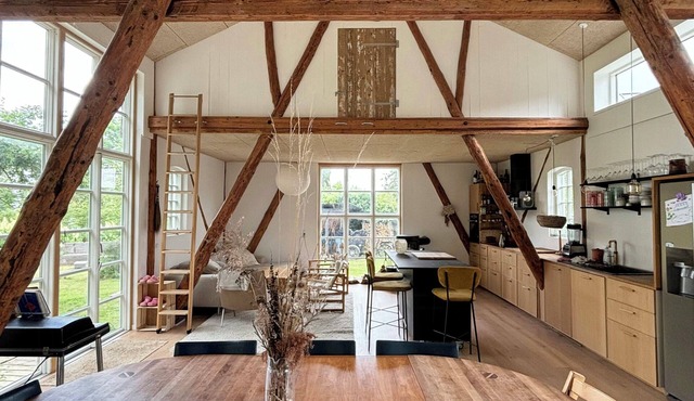 Unique spacious home in nature-rich Samsø