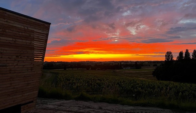 Unique & tranquil vineyard cabin getaway
