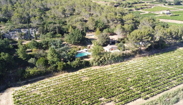 Unique view of Caesar's camp & vineyards - 2 Mazets on a hill -