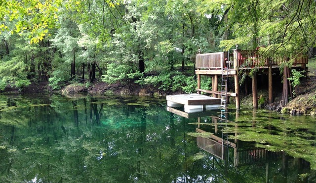 Unique Waterfront Small Cottage