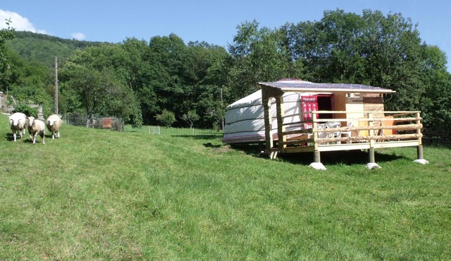 Unique yurt with sauna and private terrace