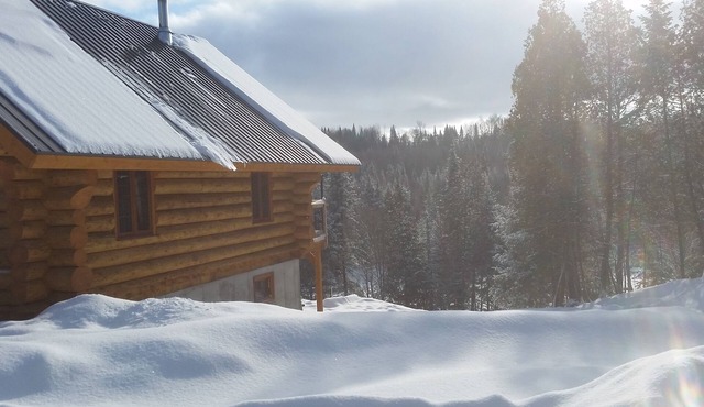 Uniquely landscaped log cabin with spa!