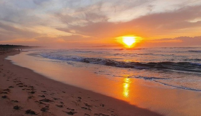 Unit 1 - A welcoming and cosy unit, near Wanda beach and Cronulla Golf Course